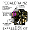 Expression Brain Kit