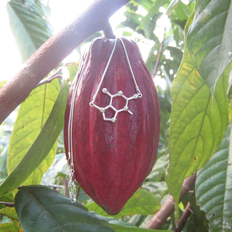 theobromine necklace Image 3