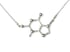 theobromine necklace Image 4