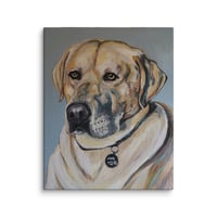 Image 2 of Yellow Labrador