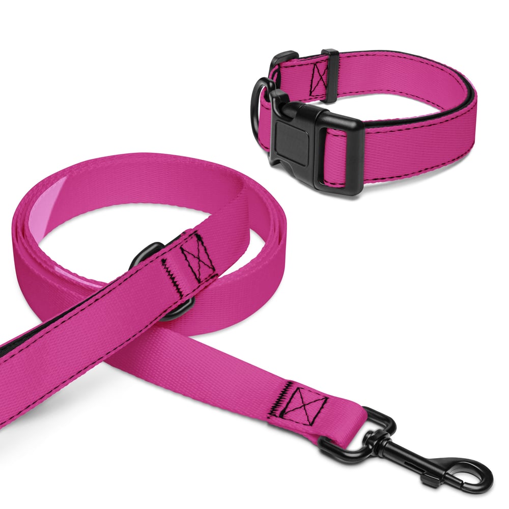 Image of Pet collar & leash Pink Love