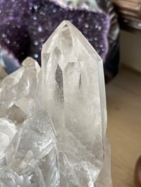 Image 19 of Clear Quartz Points Cluster Statement Piece #2446