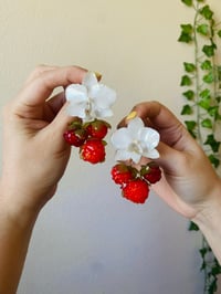 Image 1 of 🍰🍓Rasperries&Cream🍓🍰  Earrings 