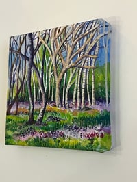 Image 3 of The Mini Bluebell Woods