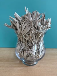 Image 2 of Sacred White Sage Clusters 