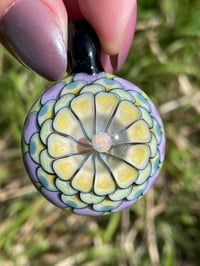 Image 3 of Lime Spring 