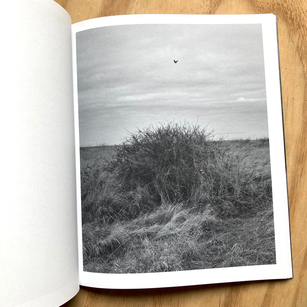 Martin Amis - This Land (Signed)