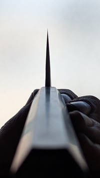 Image 5 of Forged Gyuto 200mm | Apex Ultra | Walnut 