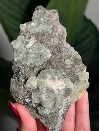 Image 2 of BOWTIE PREHNITE -INDIA- D