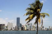 Image of Miami :: July 28, 2012