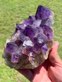 Image 7 of Amethyst Points Cluster |Congo #2909