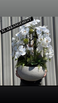 Image 1 of CONCRETE COLLECTION- XL bowl arrangement 