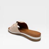 Image 4 of ROAMERS GALE CAMEO