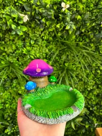 Image 1 of Shroom Stashtray