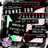 Punks-for-palestine-6