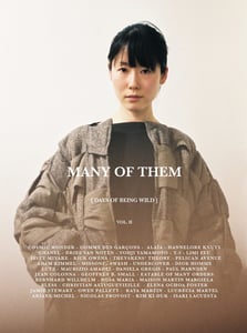 Image of MANY OF THEM - VOL. II [ DAYS OF BEING WILD ]