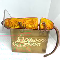 Image 2 of Silly Sally XL (California Newt)