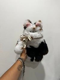 Calico Kitty Bloog ❤️