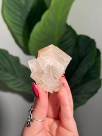 Image 1 of BOWTIE STILBITE X DIAMOND APOPHYLITE -INDIA- L