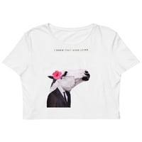Image 1 of I Knew they where (Crop Top)