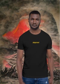 Image 4 of Dehydrated embroidered t-shirt