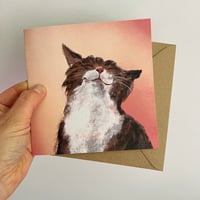 Image 5 of Cats - Luxury Greetings Card Set