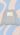 BLOSSOM Sweater
