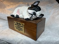 Image 12 of Custom Engraved French Bulldog Urn Handpainted To Your Photos