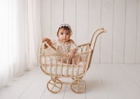 Image 1 of Ollie Pram