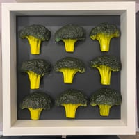 Lunatic 9 Broccolis
