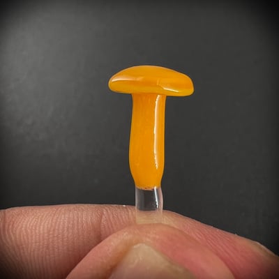 Image of Mini Orange Mushroom Plant Spike