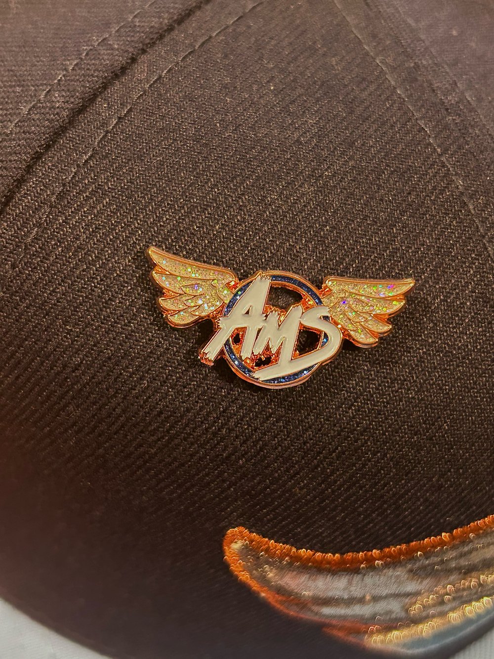 “AMS & Friends” T-Shirt w/ Free Pin