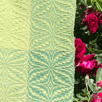 Image 3 of Blooming Leaf, Early Spring