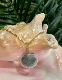 Image 2 of Scallop Shell Necklace N191