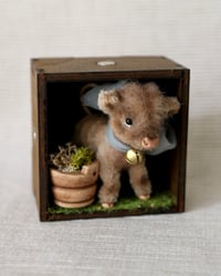 Image 1 of pipe cleaner Floff the highland calf