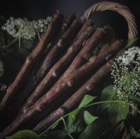 Mother Elder Branch 