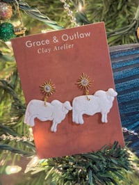 Image 1 of Glitter Brahman 