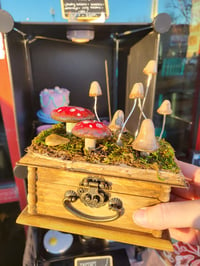 Image 1 of Mushroom & Bone Wooden Trinket Box 