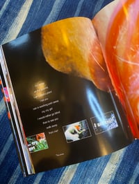 Image 6 of Pipilotti Rist- Himalaya, 1998. (with poster)