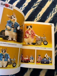 Image 9 of Namennayo Cats, Satoru Tsuda, 1981