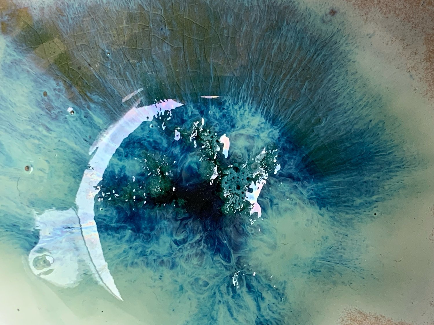 Image of Shell Sculpture 