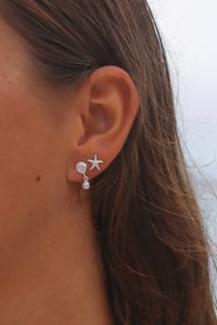 Image 1 of SEA STAR STUDS 