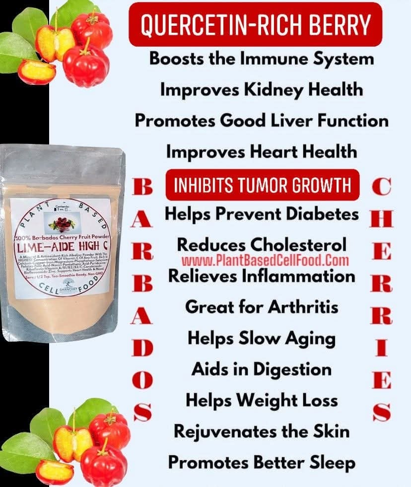 CHERRIES. BARBADOS CHERRY. BIRD CHERRY. 