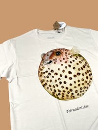 Image 2 of T-shirt PESCE PALLA