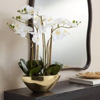 Image 1 of Belvois White Orchid 22" High Faux Flowers in Ceramic Pot