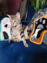 Custom Pet Paw Wall Haning Rug.