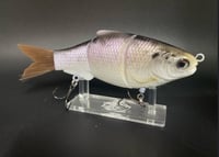 Amethyst Shad Swimmer