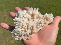 Image 6 of Calcite Crystal Reef Formation Specimen #1241