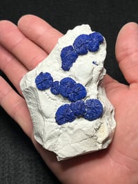 Image 8 of Azurite Suns On Matrix Specimen Australia #2774