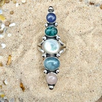 Image 4 of Tidepool Treasures